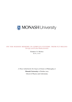 On the hidden memory in complex systems: from fly brains to quantum processes