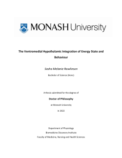 The Ventromedial Hypothalamic Integration of Energy State and Behaviour