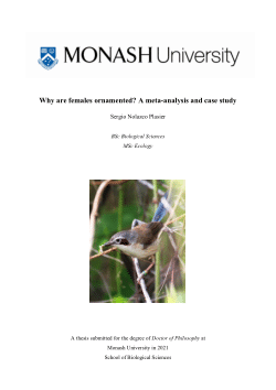 Why are females ornamented? A meta-analysis and case study