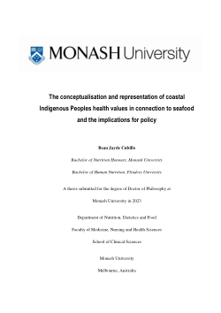 The conceptualisation and representation of coastal Indigenous Peoples' health values in connection to seafood and the implications for policy