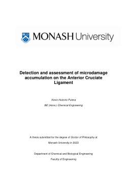 Detection and assessment of microdamage accumulation on the Anterior Cruciate Ligament