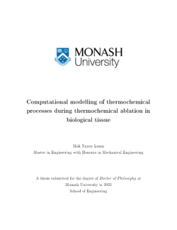 Computational modelling of thermochemical processes during thermochemical ablation in biological tissue