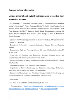 Supplementary Information for "Unique minimal and hybrid hydrogenases are active from anaerobic archaea"