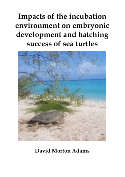 Impacts of the incubation environment on embryonic development and hatching success of sea turtles