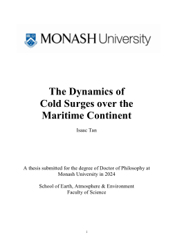 The Dynamics of Cold Surges over the Maritime Continent