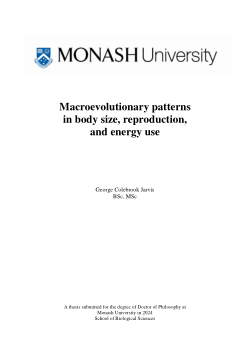 Macroevolutionary patterns in body size, reproduction, and energy use