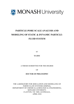 Particle-Pore Scale Analysis And Modeling Of Static & Dynamic Particle-Fluid System