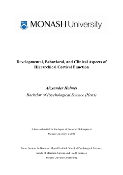 Developmental, Behavioral, and Clinical Aspects of Hierarchical Cortical Function