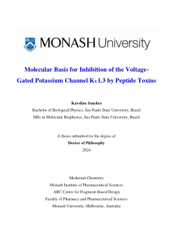 Molecular Basis for Inhibition of the Voltage-Gated Potassium Channel Kv1.3 by Peptide Toxins