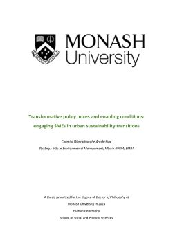 Transformative policy mixes and enabling conditions: engaging SMEs in urban sustainability transitions