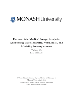 Data-centric Medical Image Analysis: Addressing Label Scarcity, Variability, and Modality Incompleteness