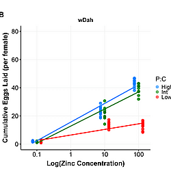 Sarmah et al_Zn governs the effect of P:C on reproduction and lifespan
