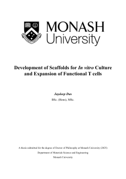 Development of Scaffolds for In vitro Culture and Expansion of Functional T cells