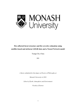 Fire-affected forest structure and fire severity estimation using satellite-based and airborne LiDAR data and a Neural Network model