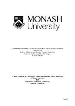 Computational Modelling Towards Macro-to-Micro Process System Integration