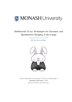 Multimodal X-ray Techniques for Dynamic and Quantitative Imaging of the Lungs