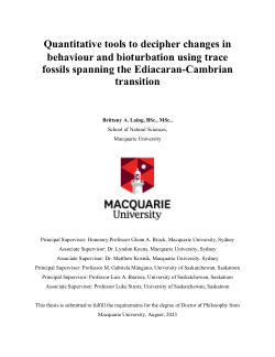 Quantitative tools to decipher changes in behaviour and bioturbation using trace fossils spanning the Ediacaran-Cambrian transition