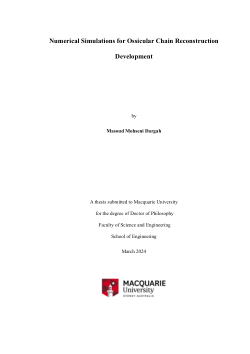 Numerical simulations for ossicular chain reconstruction development