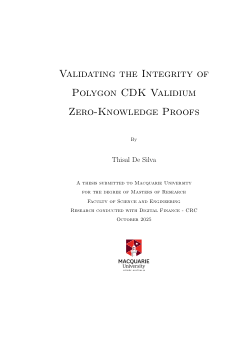 Validating the Integrity of Polygon CDK Validium Zero-Knowledge Proofs