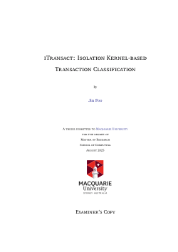iTransact: Isolation Kernel-Based Transaction Classification