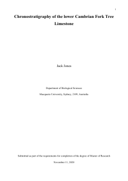 Chronostratigraphy of the lower Cambrian Fork Tree Limestone