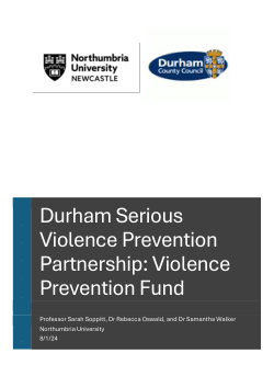 Durham Serious Violence Prevention Partnership / Violence Prevention Fund - An evaluation of four projects