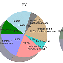 Additional file 10 of The associations between intestinal bacteria of