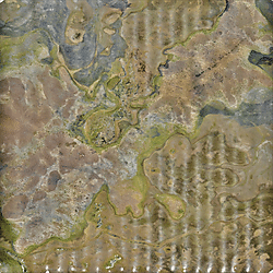 North Rupununi Orthomosaic_P5_16 02 2020