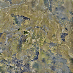 North Rupununi Orthomosaic_P3_16 02 2020