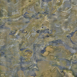 North Rupununi Orthomosaic_P4_18 02 2020