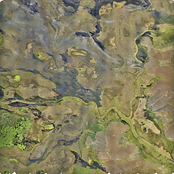 North Rupununi Orthomosaic_P6_13 02 2020
