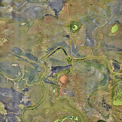 North Rupununi Orthomosaic_P7_13 02 2020