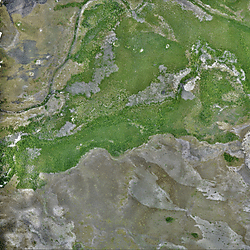 North Rupununi Orthomosaic_B12_12 02 2020