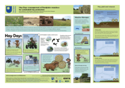 Hay Days: management of floodplain meadows for sustainable hay production