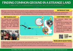 Finding common ground in a strange land: Collaboration by Caribbean Diaspora Voluntary and Community Organizations