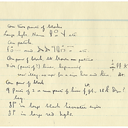 Saqqara, dipinto, 19th-20th Dynasty (see100115)