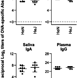 Comparison of immune responses between C3H/HeN and C3H/HeJ mice ...