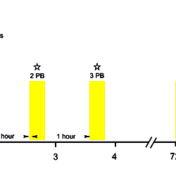 Detailed timetable algorithm of the study.
