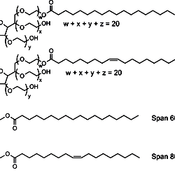 Examples of non-ionic surfactants used in this study.