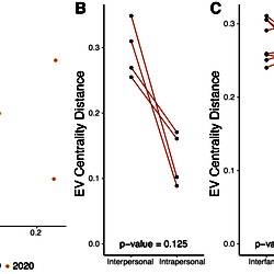 intrapersonal vs interpersonal network dissimilarity across interpersonal vs intrapersonal