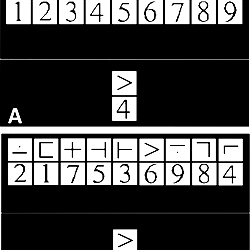 Modified digit symbol modalities task.