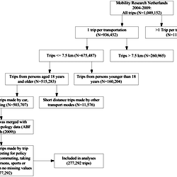 Flowchart trips included in analyses.