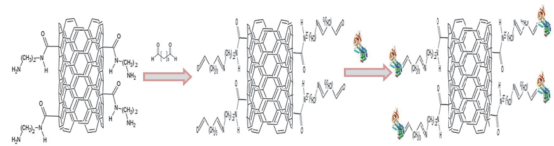 Figure S1. Schematic representation of the covalent immobilisation ...