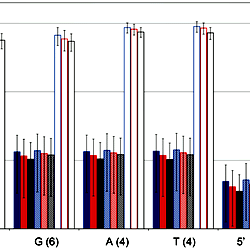 Relative contributions of each nucleotide to the electrostatic energy ...