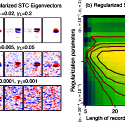 Regularized spike-triggered covariance.