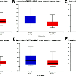 TCGA dataset analysis.