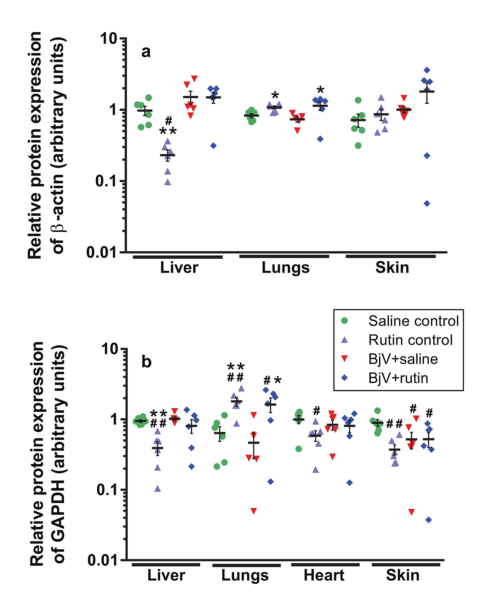 rutin (quercetin 3 rutinoside) modulates the hemostatic disturbances