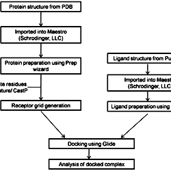 Flowchart of the methodology followed while docking target protein to ...