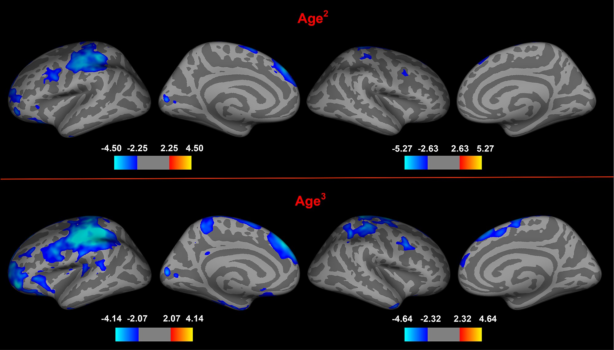 The Heart Of Matter Adolescent Brain >> Adolescent Brain Maturation And Cortical Folding Evidence For The Heart Of Matter Adolescent Brain >> Adolescent Brain Maturation And Cortical Folding Evidence For