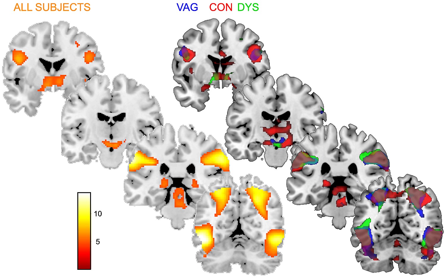 Vaginal penetration gif